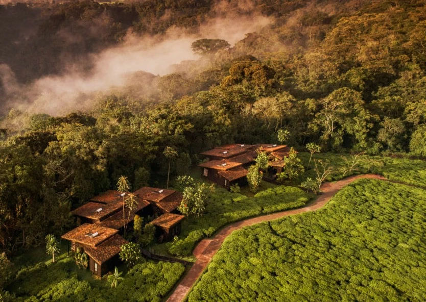 Forest lodge cottages among green hills near Nyungwe, Rwanda
