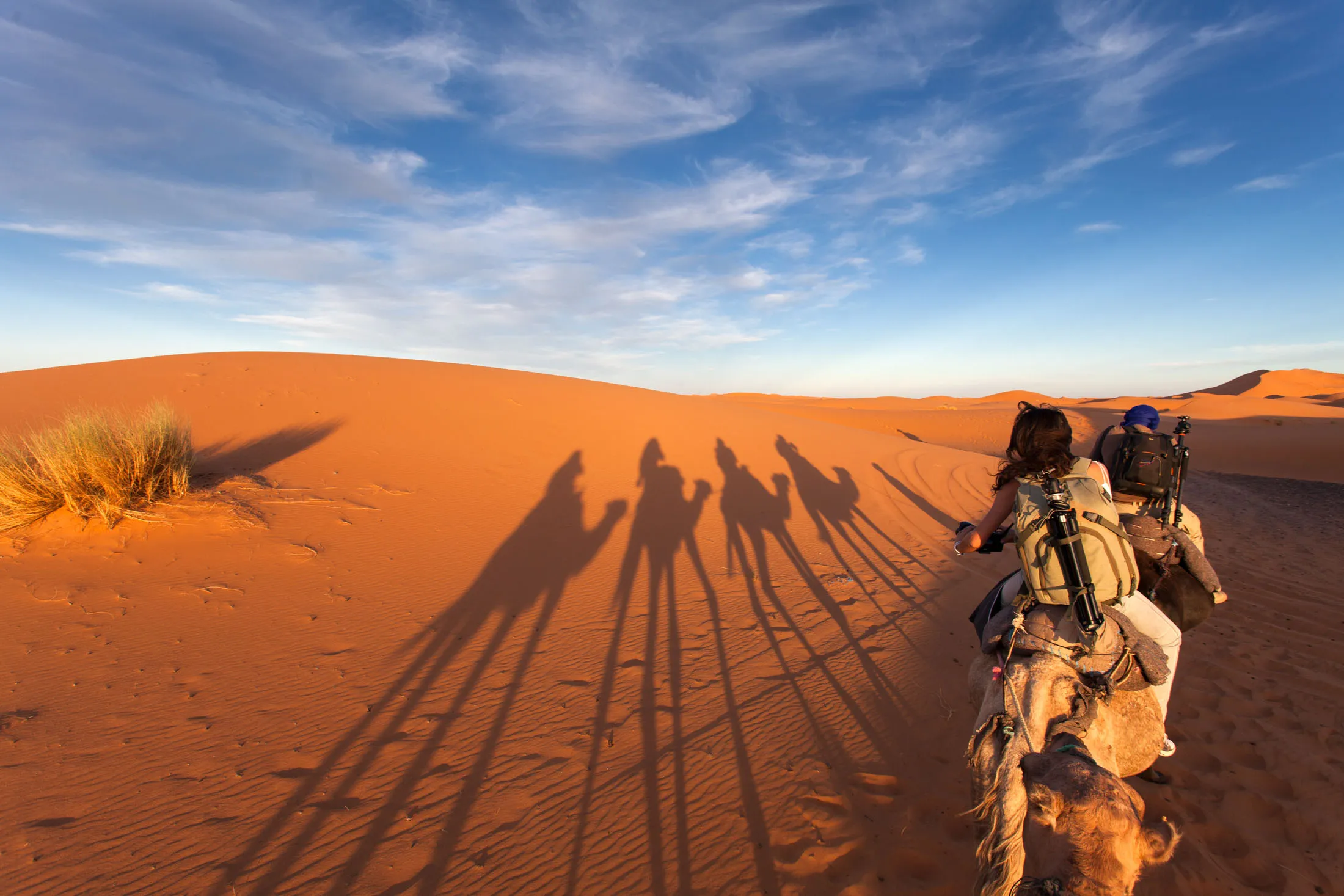 Camel riders and long shadows on orange desert dunes